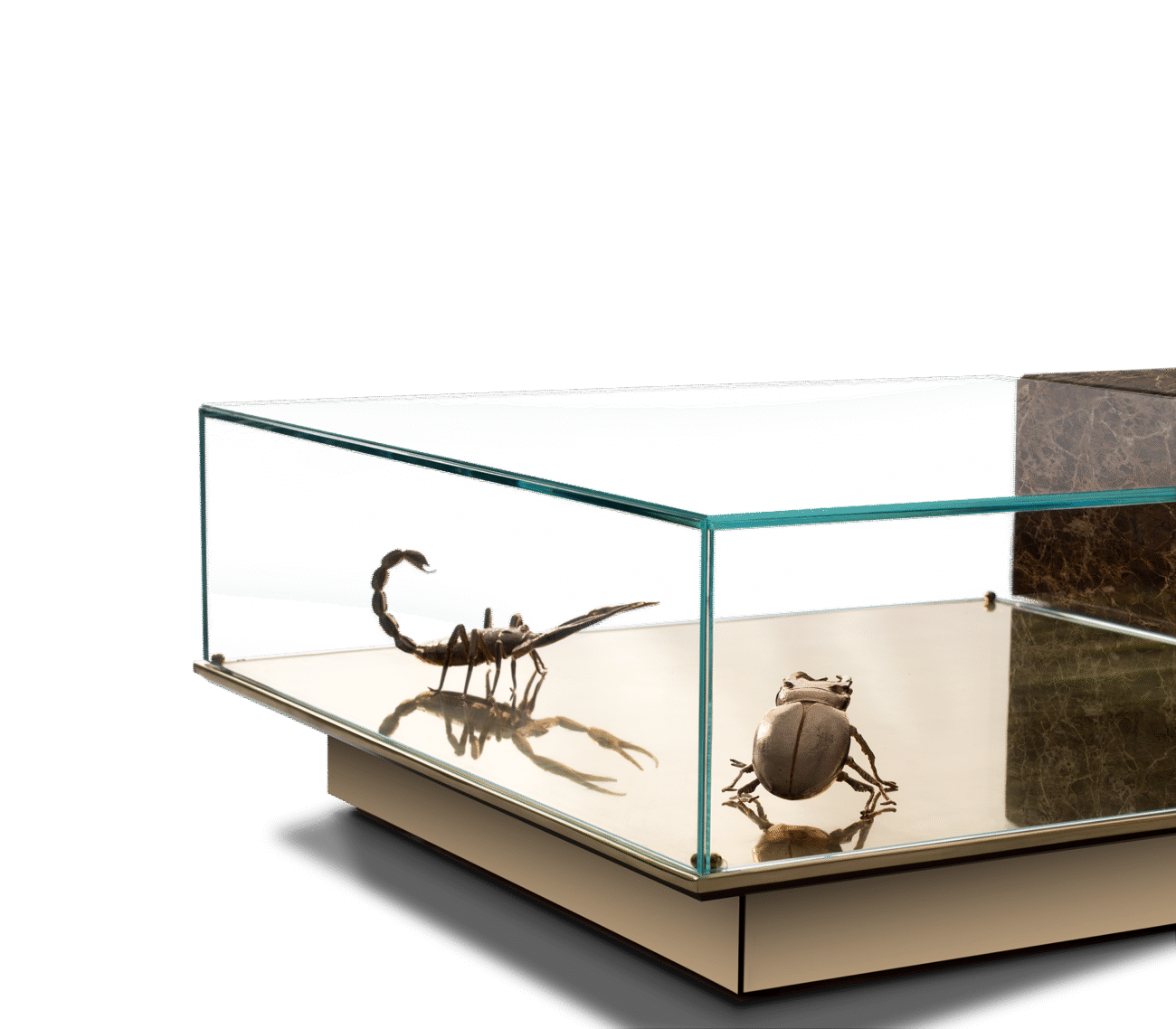 Metamorphosis Center Table