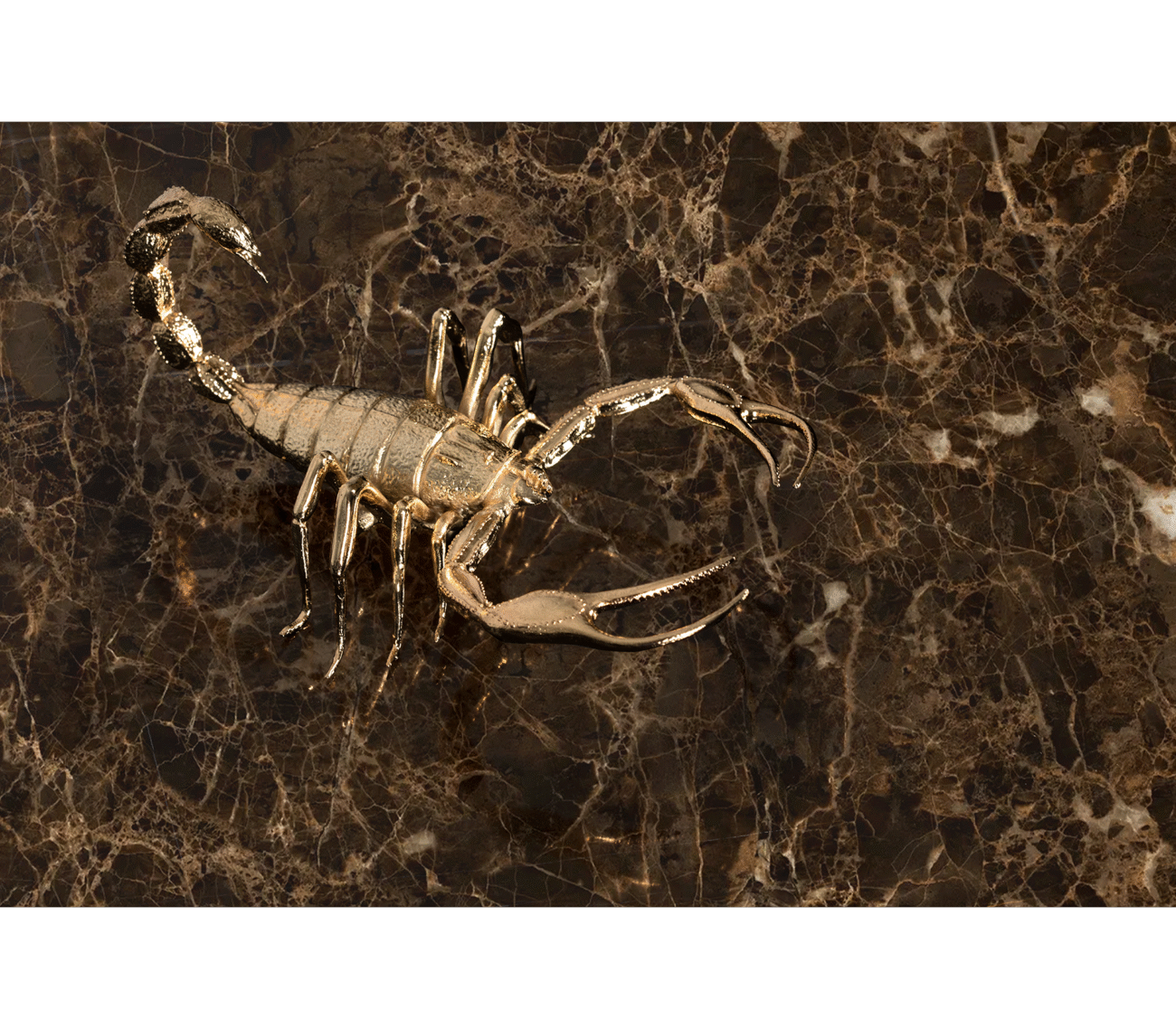 Metamorphosis Center Table