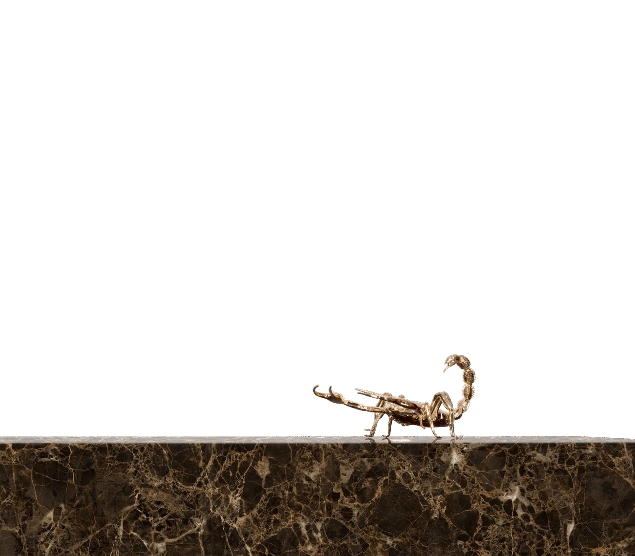 Metamorphosis Center Table