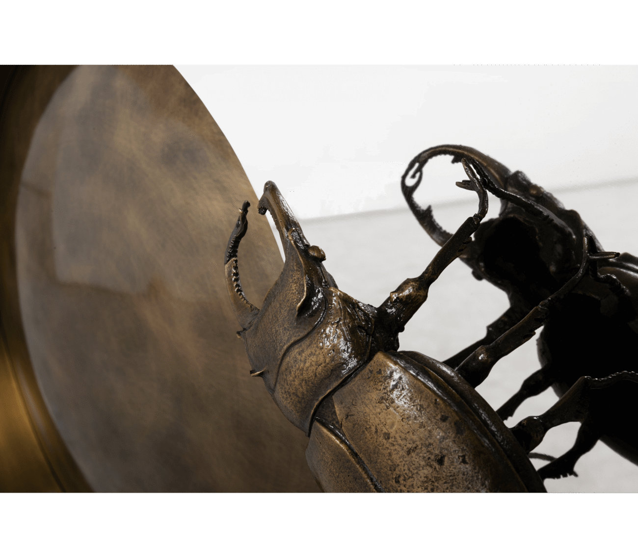 Metamorphosis Console