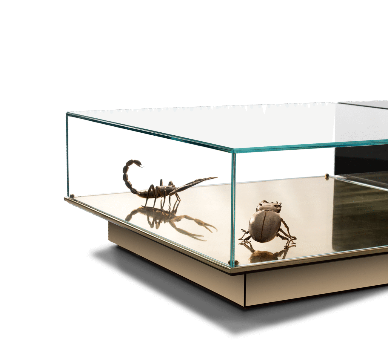 Metamorphosis Center Table