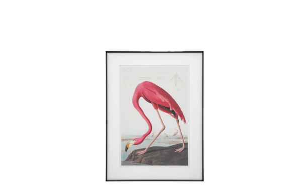 Graceful Flamingo Framed Art